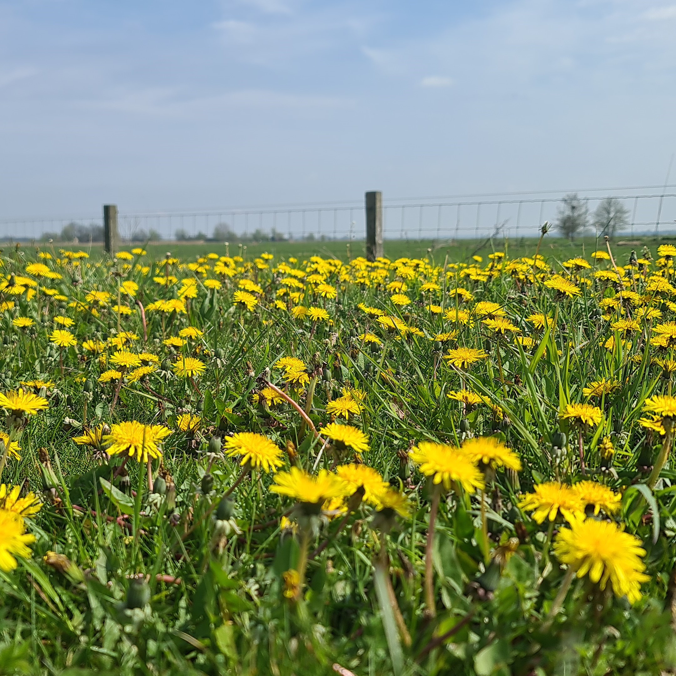 Blog Just Switch Een natuurbad
