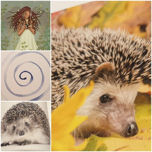 Blog-Just-Switch-Lente