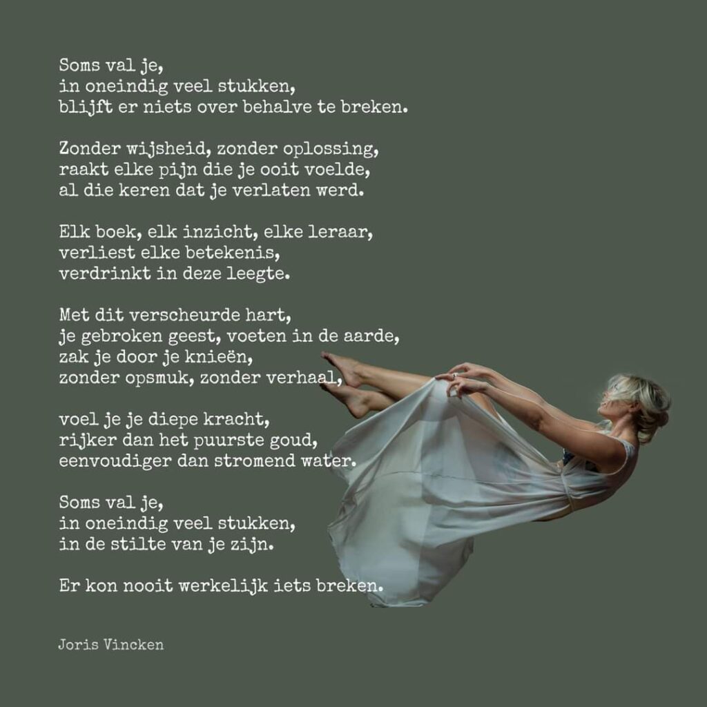 Regressietherapie -  Narcisme - Trauma Just-Switch