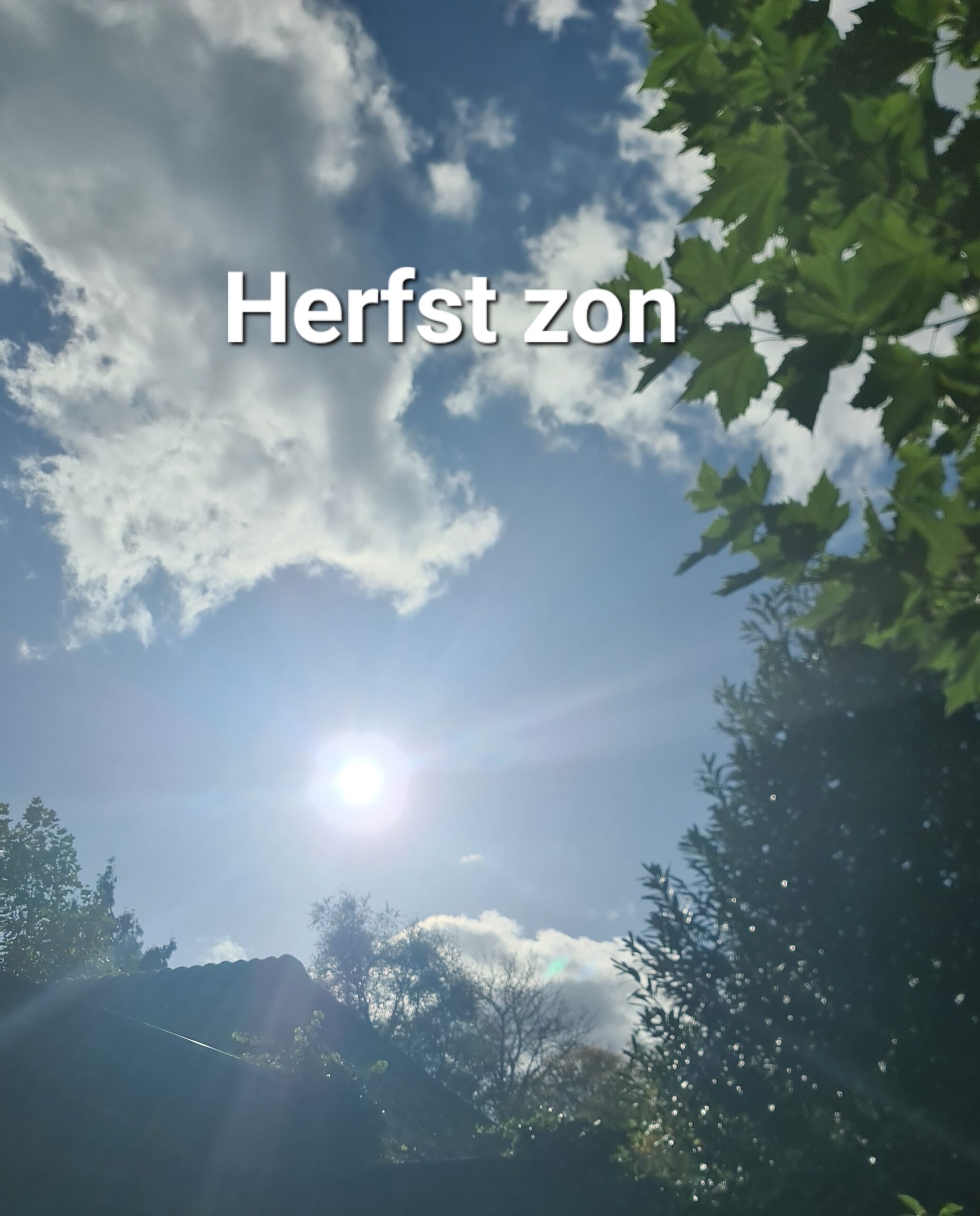 Gelukzalige Herfst Zon