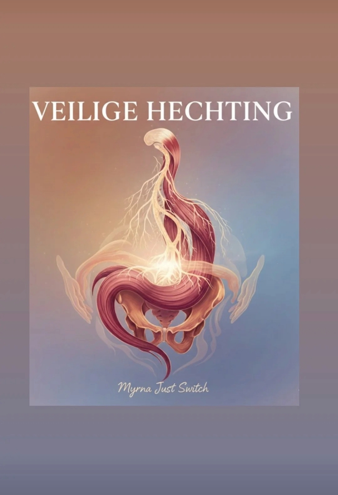 Veilige Hechting